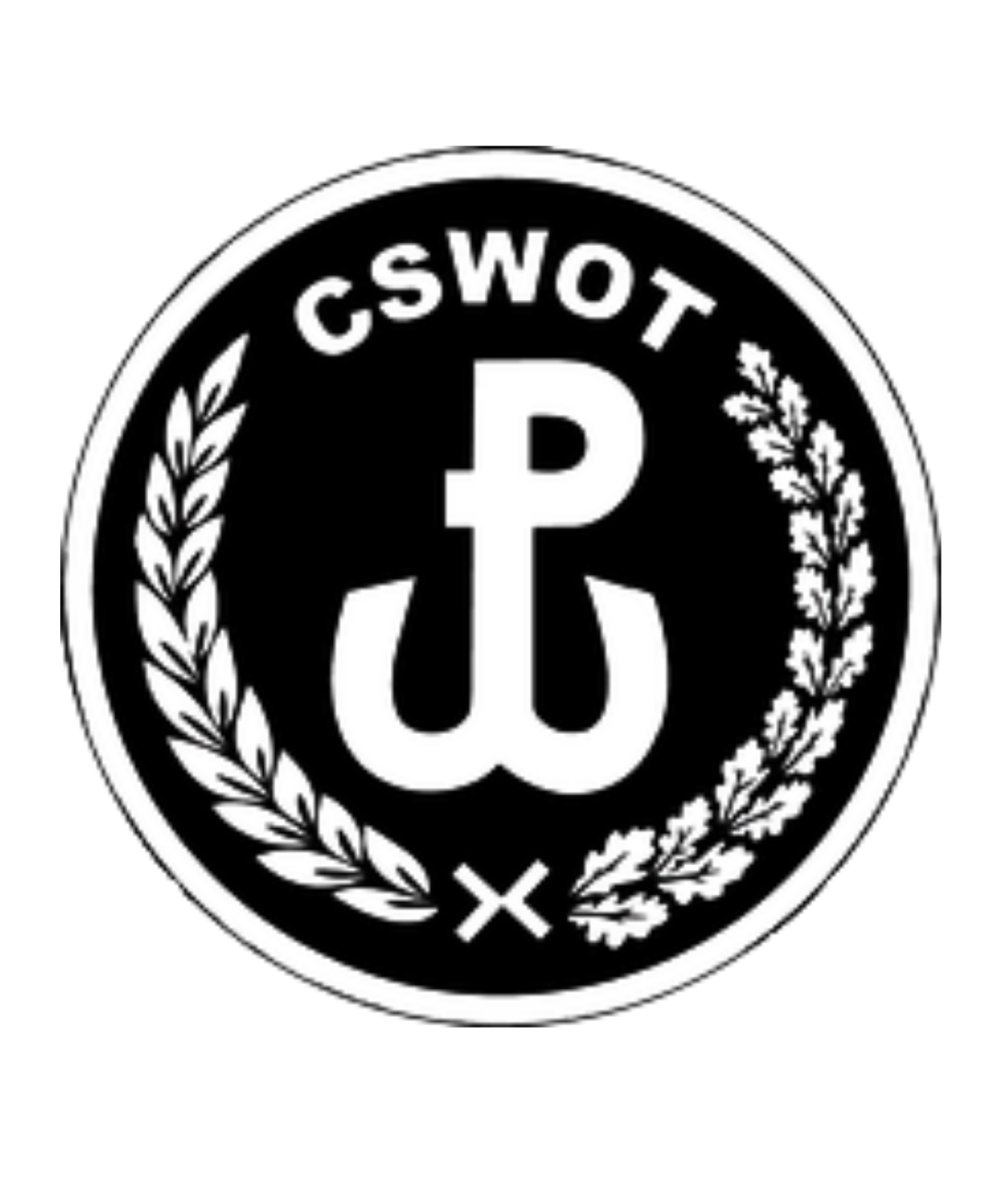 CSWOT