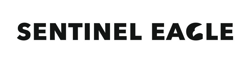 Sentinel Eagle – nowa generacja technologii autonomicznych na II Forum